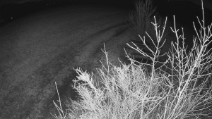 Bludný - Rajnochovice Troják - Bludný - Rajnochovice Troják - 1.3.2024 v 19:00 Bludný - Rajnochovice Troják - Bludný - Rajnochovice Troják - 1.3.2024 v 19:00