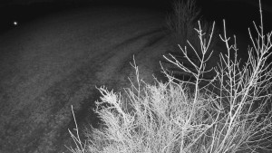 Bludný - Rajnochovice Troják - Bludný - Rajnochovice Troják - 1.3.2024 v 21:00 Bludný - Rajnochovice Troják - Bludný - Rajnochovice Troják - 1.3.2024 v 21:00