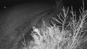 Bludný - Rajnochovice Troják - Bludný - Rajnochovice Troják - 1.3.2024 v 22:00 Bludný - Rajnochovice Troják - Bludný - Rajnochovice Troják - 1.3.2024 v 22:00