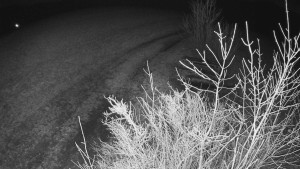 Bludný - Rajnochovice Troják - Bludný - Rajnochovice Troják - 1.3.2024 v 23:00 Bludný - Rajnochovice Troják - Bludný - Rajnochovice Troják - 1.3.2024 v 23:00