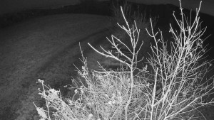 Bludný - Rajnochovice Troják - Bludný - Rajnochovice Troják  - 5.11.2024 v 05:30 Bludný - Rajnochovice Troják - Bludný - Rajnochovice Troják  - 5.11.2024 v 05:30