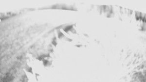 Bludný - Rajnochovice Troják - Bludný - Rajnochovice Troják  - 5.11.2024 v 06:00 Bludný - Rajnochovice Troják - Bludný - Rajnochovice Troják  - 5.11.2024 v 06:00