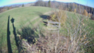 Bludný - Rajnochovice Troják - Bludný - Rajnochovice Troják  - 5.11.2024 v 09:00 Bludný - Rajnochovice Troják - Bludný - Rajnochovice Troják  - 5.11.2024 v 09:00