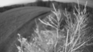 Bludný - Rajnochovice Troják - Bludný - Rajnochovice Troják  - 5.11.2024 v 17:00 Bludný - Rajnochovice Troják - Bludný - Rajnochovice Troják  - 5.11.2024 v 17:00