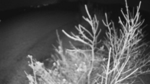 Bludný - Rajnochovice Troják - Bludný - Rajnochovice Troják  - 5.11.2024 v 18:00 Bludný - Rajnochovice Troják - Bludný - Rajnochovice Troják  - 5.11.2024 v 18:00