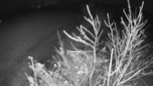 Bludný - Rajnochovice Troják - Bludný - Rajnochovice Troják  - 5.11.2024 v 22:00 Bludný - Rajnochovice Troják - Bludný - Rajnochovice Troják  - 5.11.2024 v 22:00