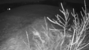 Bludný - Rajnochovice Troják - Bludný - Rajnochovice Troják  - 20.1.2025 v 00:00 Bludný - Rajnochovice Troják - Bludný - Rajnochovice Troják  - 20.1.2025 v 00:00