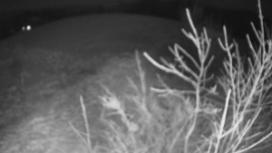 Bludný - Rajnochovice Troják - Bludný - Rajnochovice Troják  - 20.1.2025 v 01:00 Bludný - Rajnochovice Troják - Bludný - Rajnochovice Troják  - 20.1.2025 v 01:00