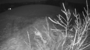 Bludný - Rajnochovice Troják - Bludný - Rajnochovice Troják  - 20.1.2025 v 02:00 Bludný - Rajnochovice Troják - Bludný - Rajnochovice Troják  - 20.1.2025 v 02:00