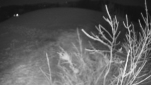 Bludný - Rajnochovice Troják - Bludný - Rajnochovice Troják  - 20.1.2025 v 03:00 Bludný - Rajnochovice Troják - Bludný - Rajnochovice Troják  - 20.1.2025 v 03:00