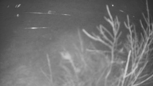 Bludný - Rajnochovice Troják - Bludný - Rajnochovice Troják  - 20.1.2025 v 05:30 Bludný - Rajnochovice Troják - Bludný - Rajnochovice Troják  - 20.1.2025 v 05:30