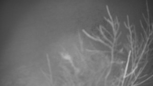 Bludný - Rajnochovice Troják - Bludný - Rajnochovice Troják  - 20.1.2025 v 06:00 Bludný - Rajnochovice Troják - Bludný - Rajnochovice Troják  - 20.1.2025 v 06:00