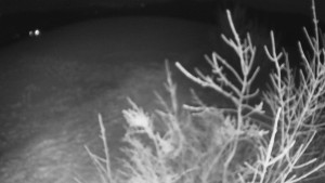 Bludný - Rajnochovice Troják - Bludný - Rajnochovice Troják  - 20.1.2025 v 18:00 Bludný - Rajnochovice Troják - Bludný - Rajnochovice Troják  - 20.1.2025 v 18:00