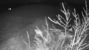 Bludný - Rajnochovice Troják - Bludný - Rajnochovice Troják  - 20.1.2025 v 19:00 Bludný - Rajnochovice Troják - Bludný - Rajnochovice Troják  - 20.1.2025 v 19:00