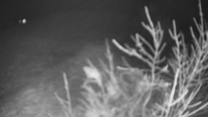 Bludný - Rajnochovice Troják - Bludný - Rajnochovice Troják  - 20.1.2025 v 20:00 Bludný - Rajnochovice Troják - Bludný - Rajnochovice Troják  - 20.1.2025 v 20:00