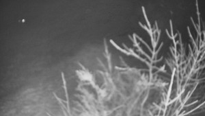 Bludný - Rajnochovice Troják - Bludný - Rajnochovice Troják  - 20.1.2025 v 21:00 Bludný - Rajnochovice Troják - Bludný - Rajnochovice Troják  - 20.1.2025 v 21:00