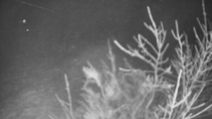 Bludný - Rajnochovice Troják - Bludný - Rajnochovice Troják  - 20.1.2025 v 22:00 Bludný - Rajnochovice Troják - Bludný - Rajnochovice Troják  - 20.1.2025 v 22:00