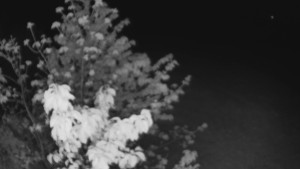 Bludný - Rajnochovice Troják - Bludný - Rajnochovice Troják - 1.5.2025 v 00:00 Bludný - Rajnochovice Troják - Bludný - Rajnochovice Troják - 1.5.2025 v 00:00