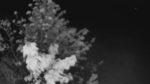 Bludný - Rajnochovice Troják - Bludný - Rajnochovice Troják - 1.5.2025 v 01:00 Bludný - Rajnochovice Troják - Bludný - Rajnochovice Troják - 1.5.2025 v 01:00