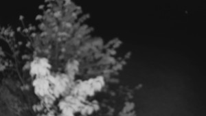 Bludný - Rajnochovice Troják - Bludný - Rajnochovice Troják - 1.5.2025 v 02:00 Bludný - Rajnochovice Troják - Bludný - Rajnochovice Troják - 1.5.2025 v 02:00