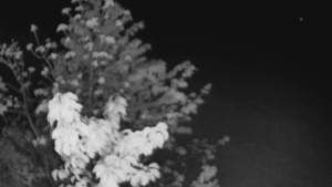 Bludný - Rajnochovice Troják - Bludný - Rajnochovice Troják - 1.5.2025 v 03:00 Bludný - Rajnochovice Troják - Bludný - Rajnochovice Troják - 1.5.2025 v 03:00