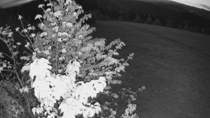 Bludný - Rajnochovice Troják - Bludný - Rajnochovice Troják - 1.5.2025 v 04:30 Bludný - Rajnochovice Troják - Bludný - Rajnochovice Troják - 1.5.2025 v 04:30