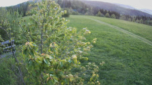 Bludný - Rajnochovice Troják - Bludný - Rajnochovice Troják - 1.5.2025 v 05:00 Bludný - Rajnochovice Troják - Bludný - Rajnochovice Troják - 1.5.2025 v 05:00