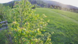 Bludný - Rajnochovice Troják - Bludný - Rajnochovice Troják - 1.5.2025 v 06:00 Bludný - Rajnochovice Troják - Bludný - Rajnochovice Troják - 1.5.2025 v 06:00