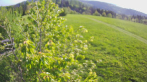 Bludný - Rajnochovice Troják - Bludný - Rajnochovice Troják - 1.5.2025 v 07:00 Bludný - Rajnochovice Troják - Bludný - Rajnochovice Troják - 1.5.2025 v 07:00