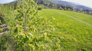 Bludný - Rajnochovice Troják - Bludný - Rajnochovice Troják - 1.5.2025 v 08:00 Bludný - Rajnochovice Troják - Bludný - Rajnochovice Troják - 1.5.2025 v 08:00