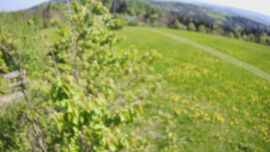 Bludný - Rajnochovice Troják - Bludný - Rajnochovice Troják - 1.5.2025 v 10:00 Bludný - Rajnochovice Troják - Bludný - Rajnochovice Troják - 1.5.2025 v 10:00