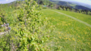 Bludný - Rajnochovice Troják - Bludný - Rajnochovice Troják - 1.5.2025 v 11:00 Bludný - Rajnochovice Troják - Bludný - Rajnochovice Troják - 1.5.2025 v 11:00