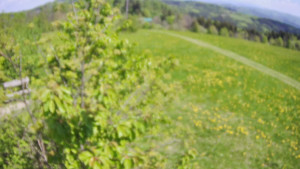 Bludný - Rajnochovice Troják - Bludný - Rajnochovice Troják - 1.5.2025 v 12:00 Bludný - Rajnochovice Troják - Bludný - Rajnochovice Troják - 1.5.2025 v 12:00