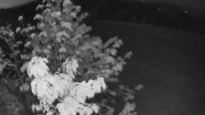 Bludný - Rajnochovice Troják - Bludný - Rajnochovice Troják - 1.5.2025 v 21:00 Bludný - Rajnochovice Troják - Bludný - Rajnochovice Troják - 1.5.2025 v 21:00