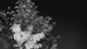 Bludný - Rajnochovice Troják - Bludný - Rajnochovice Troják - 1.5.2025 v 22:00 Bludný - Rajnochovice Troják - Bludný - Rajnochovice Troják - 1.5.2025 v 22:00