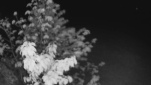 Bludný - Rajnochovice Troják - Bludný - Rajnochovice Troják - 1.5.2025 v 23:00 Bludný - Rajnochovice Troják - Bludný - Rajnochovice Troják - 1.5.2025 v 23:00