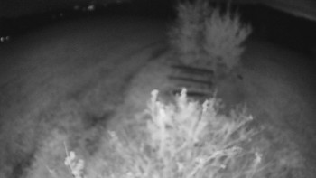 Snímek    25.10.2025 v 00:00