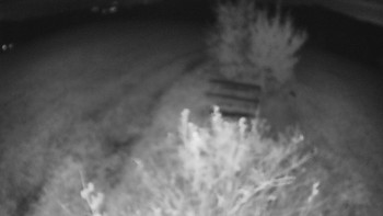 Snímek    25.10.2025 v 02:30