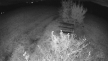Snímek    25.10.2025 v 03:00