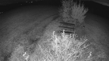 Snímek    25.10.2025 v 04:30