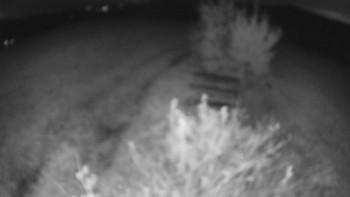 Snímek    25.10.2025 v 05:00