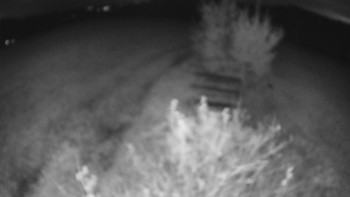 Snímek    25.10.2025 v 05:30
