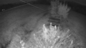 Snímek    25.10.2025 v 18:30