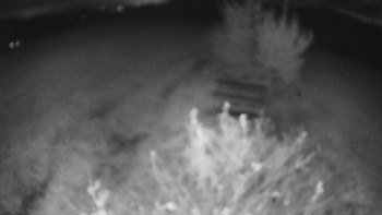 Snímek    25.10.2025 v 19:00