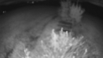 Snímek    25.10.2025 v 19:30