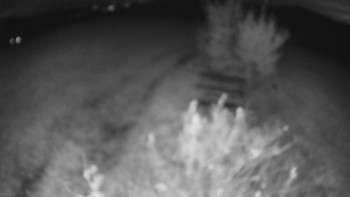 Snímek    25.10.2025 v 21:00