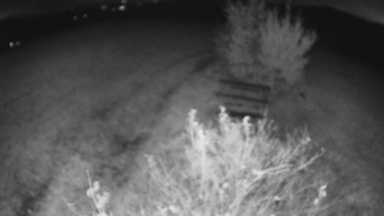 Snímek    25.10.2025 v 22:00