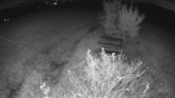 Snímek    25.10.2025 v 23:30