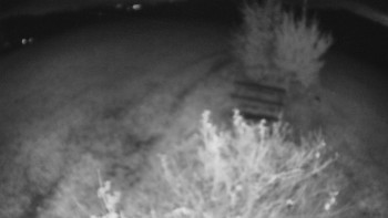 Snímek    26.10.2025 v 05:00