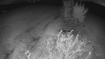 Snímek    26.10.2025 v 18:00